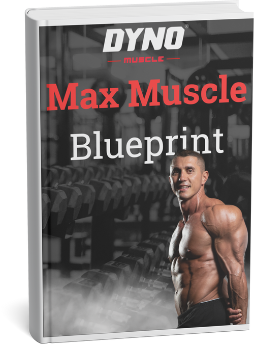 Max Muscle Blueprint (E-Book)